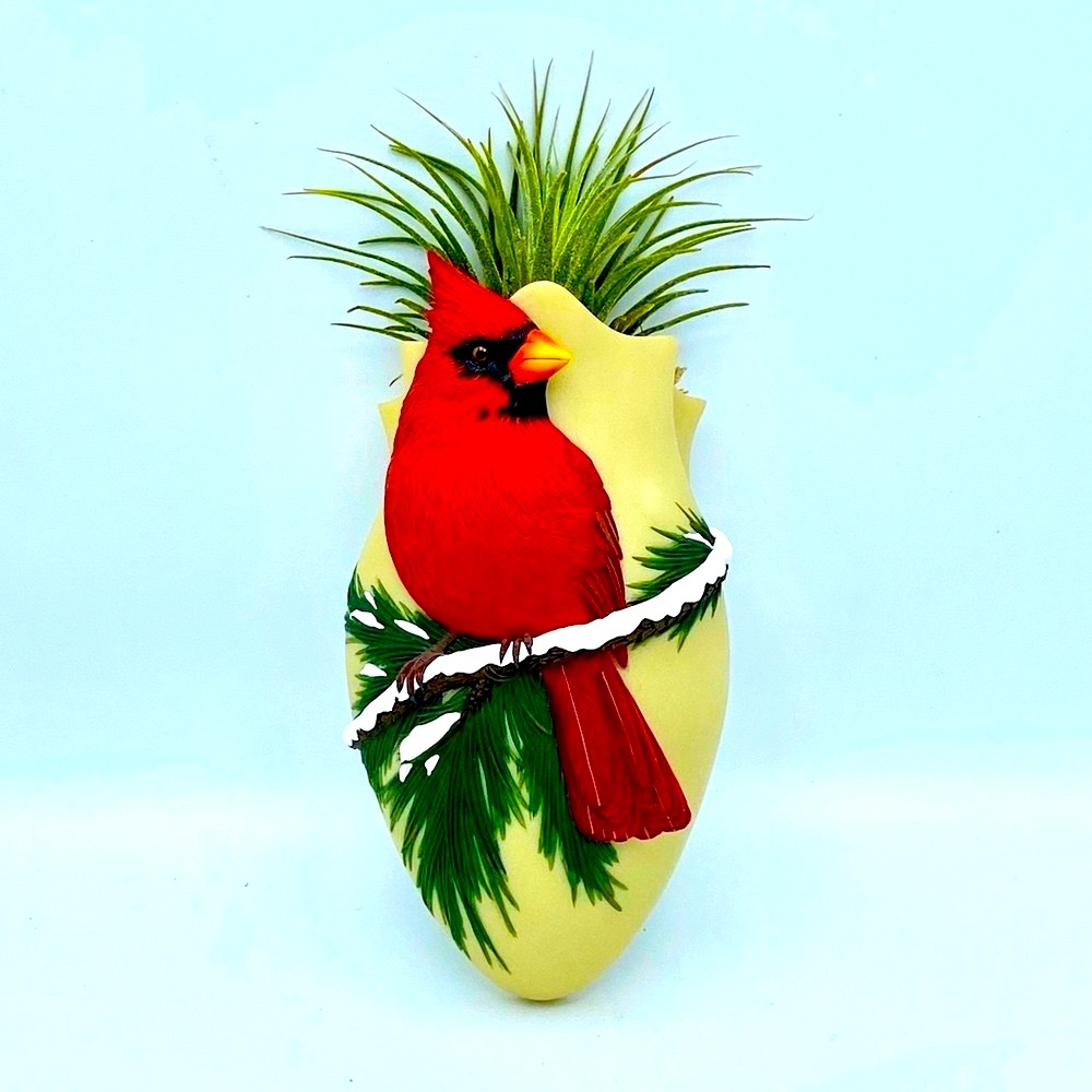 CARDINAL Wall Pocket Vase - Ibis and Orchid Air Plants Dried Flowers Succulents